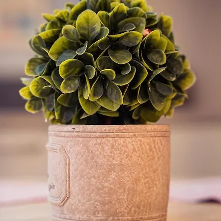 Cityscape Luxury Plovdiv